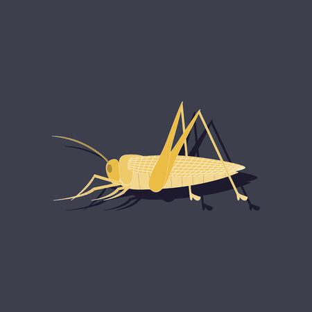 paper sticker on background of grasshopperのイラスト素材
