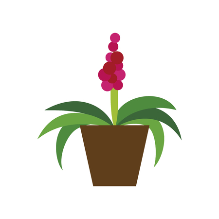 Icon in flat design hyacinthのイラスト素材