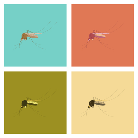 assembly flat icons insect mosquitoのイラスト素材