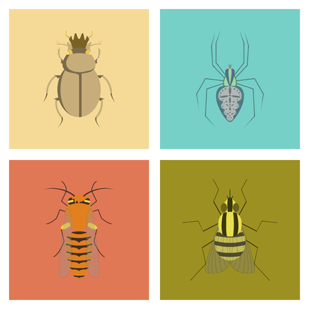 assembly flat Illustrations bug scarab Araneus bee flyのイラスト素材