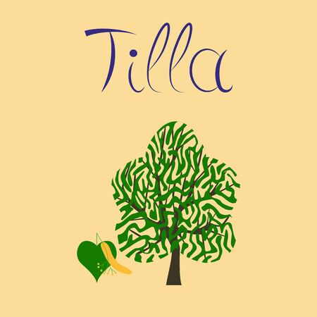 flat illustration on background linden woodのイラスト素材