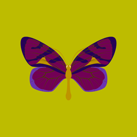 Colorful flat icon of butterfly isolated on greenのイラスト素材
