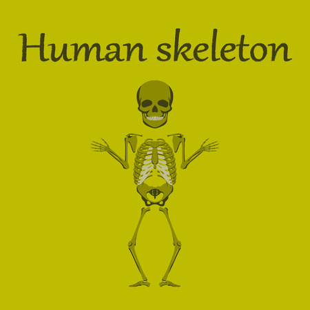 human organ icon in flat style human skeletonのイラスト素材