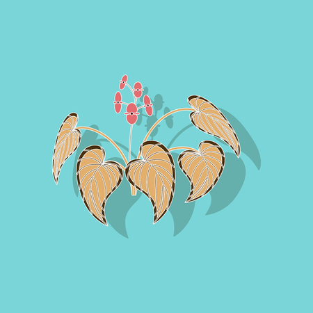 paper sticker on stylish background plant Begoniaのイラスト素材