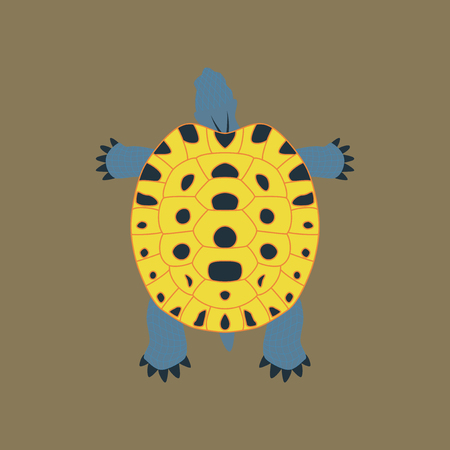 Vector illustration in flat style of a turtleのイラスト素材