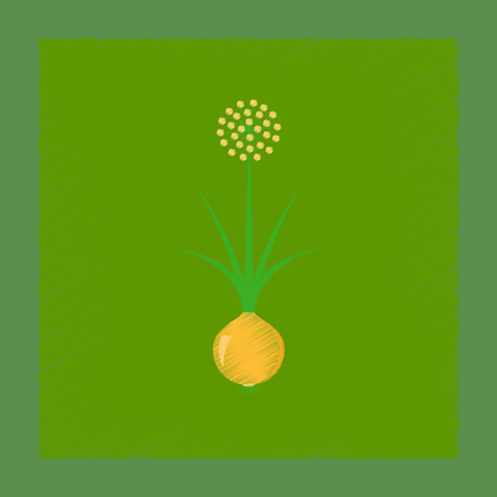 flat shading style illustration plant alliumのイラスト素材