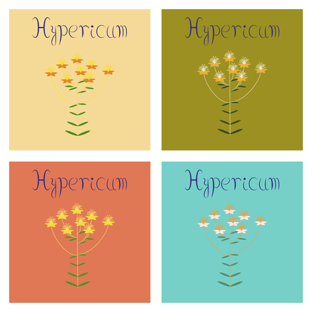 assembly flat Illustrations plant Hypericumのイラスト素材