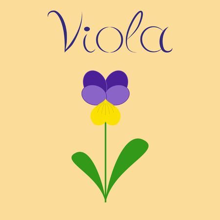 flat illustration stylish background plant Violaのイラスト素材