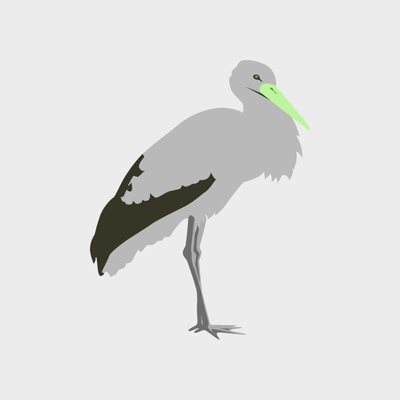 Vector illustration in flat style storkのイラスト素材
