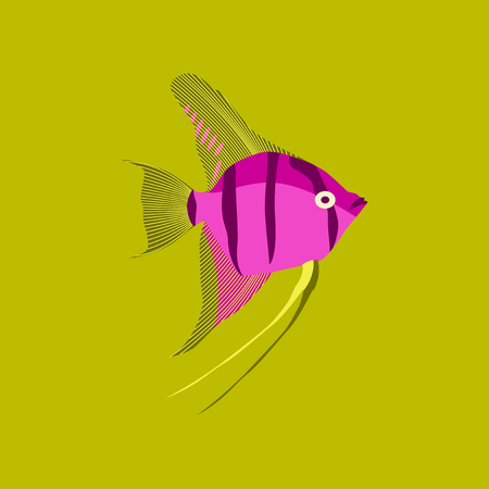 Vector illustration in flat style angelfishのイラスト素材