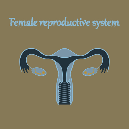 human organ icon in flat style female reproductive systemのイラスト素材