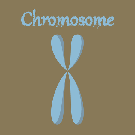 human organ icon in flat style chromosomeのイラスト素材