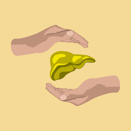 flat icon on theme world hepatitis day . liver in handsのイラスト素材