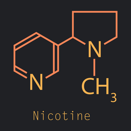 Structural chemical molecular formula and model of nicotinic acid. Atoms are represented as spheres with color coding isolated on background. visualization and skeletal formula. Vectorのイラスト素材