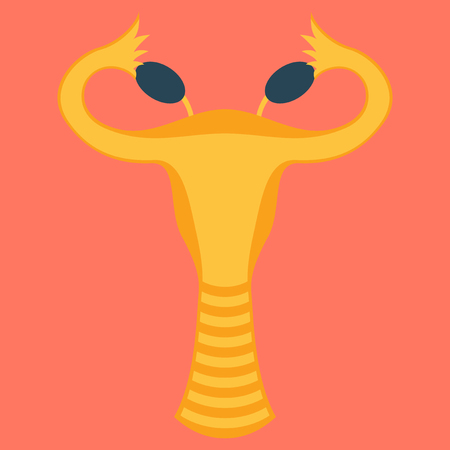 Flat showing female reproductive system illustrationのイラスト素材