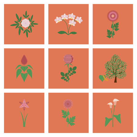 assembly of flat Illustrations plant flower paeonia chrysanthemum orhidaceae rosa calla aster narcissus lindenのイラスト素材
