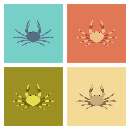 assembly flat Illustrations animal crabのイラスト素材
