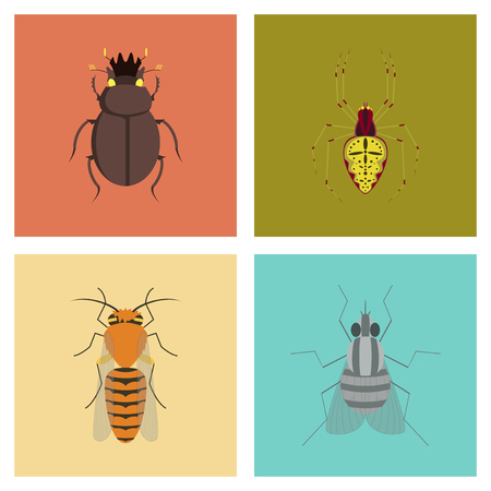 assembly of flat Illustrations egypt bug scarab Araneus bee flyのイラスト素材