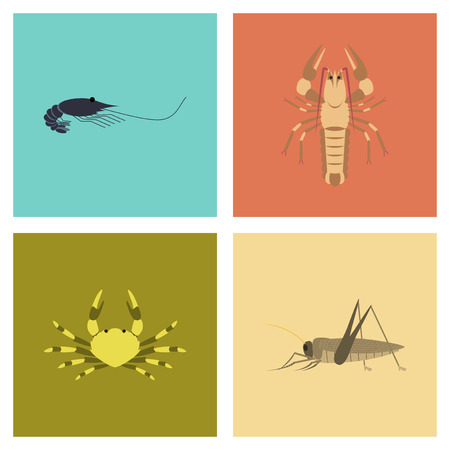 assembly of flat Illustrations shrimp lobster crab grasshopperのイラスト素材