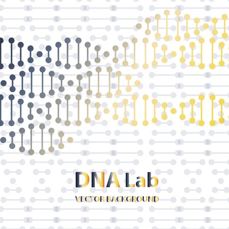 DNA structure double helix on white background. Nucleotide, Phosphate, Sugar, and bases. education vector info graphic.Adenine, Thymine, Guanine, Cytosine.のイラスト素材