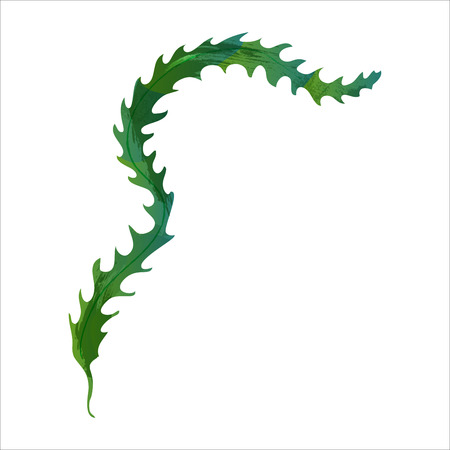 Underwater seaweed spirulina, aquatic marine algae plant vector Illustrationのイラスト素材