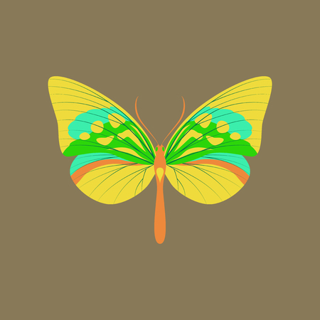 Colorful icon of butterfly isolated on brownのイラスト素材