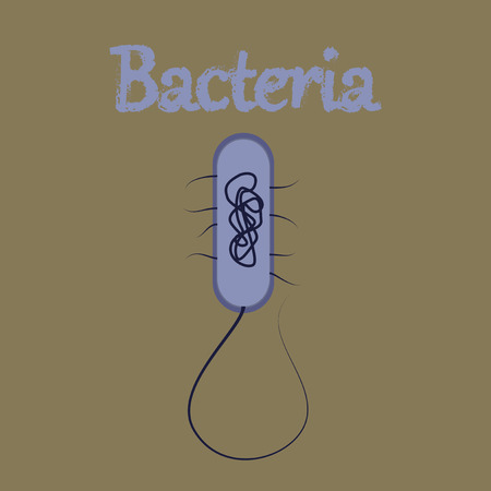 human icon in flat style bacteriaのイラスト素材