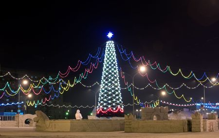 New Year tree in a new year's eveの写真素材