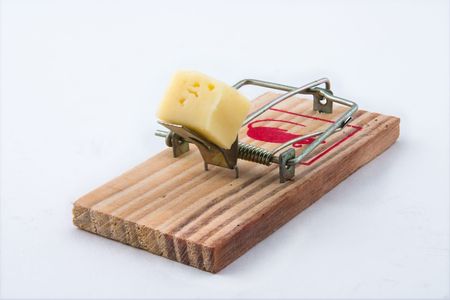 Alert mousetrap on a white backgroundの写真素材