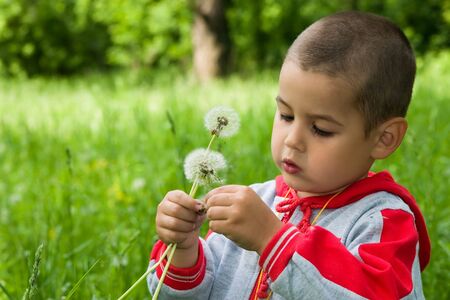 The boy in a wood on a glade with dandelionsの写真素材
