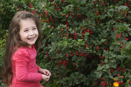 The little girl in a garden on a background of bushes of a red currantの写真素材