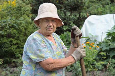 An elderly woman gardener in his gardenの写真素材