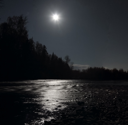 moonlit night in the forest on the riverの写真素材