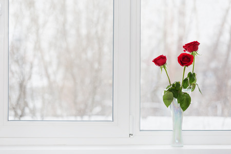 Roses in a vase on a window sill in the winterの写真素材