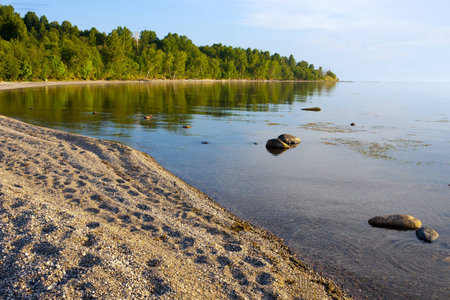Beautiful summer landscape with Lake Onegaの写真素材