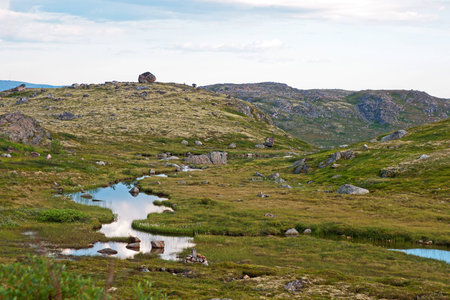 Summer polar landscape with small riverの写真素材