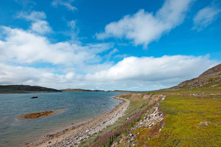 Beautiful summer arctic landscape with bay  Barents Seaの写真素材
