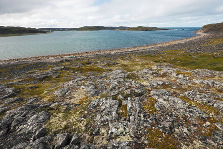 Summer arctic landscape with bay  Barents Seaの写真素材