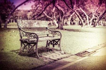 seating in the parkの写真素材