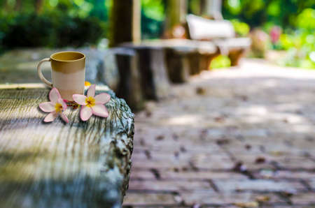Close up of coffee cup place on the concrete seating located on stamp concrete walk way in the park