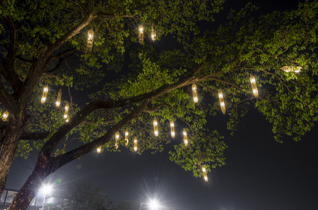 Lanterns hanging from tree to decorate. Made of wicker from bamboo. Equipment to catch a fish, a bird cage.の写真素材