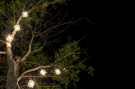 Lanterns hanging from tree to decorate. Made of wicker from bamboo. Equipment to catch a fish, a...