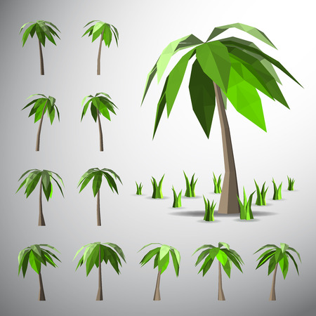 Vector Low polygon 3D palm treeのイラスト素材