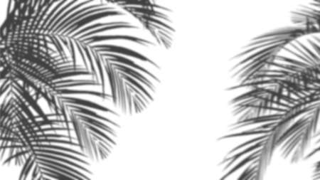 An image of plam leave shadow on the wall. PSD mockup in smart object layer.の写真素材