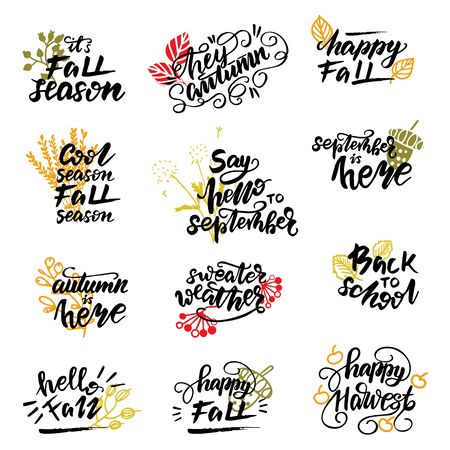 Set of autumn lettering phrases. Vector illustration.のイラスト素材