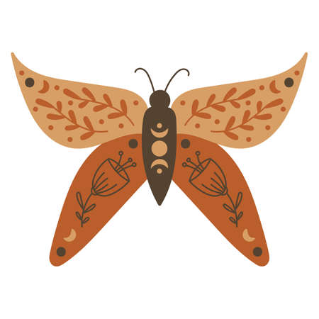 Boho Butterfly Design Element. Vector illustration.のイラスト素材