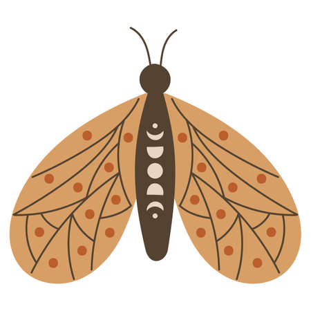 Boho Butterfly Design Element. Vector illustration.のイラスト素材