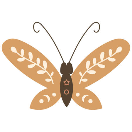 Boho Butterfly Design Element. Vector illustration.のイラスト素材