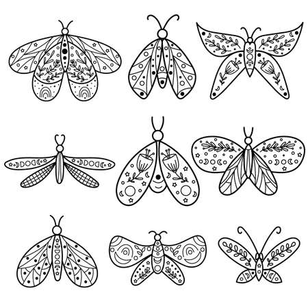Celestial Butterfly Line art Clipart. Vector illustration.のイラスト素材