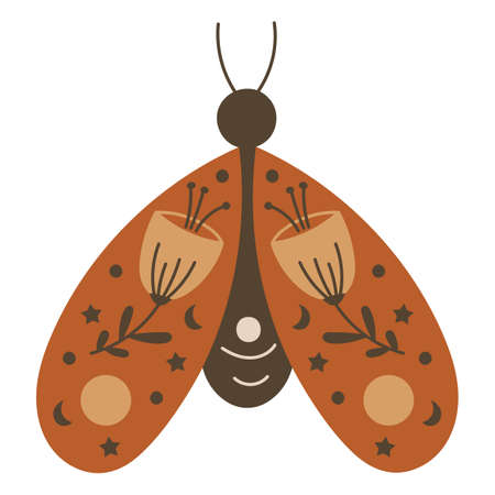 Boho Butterfly Design Element. Vector illustration.のイラスト素材